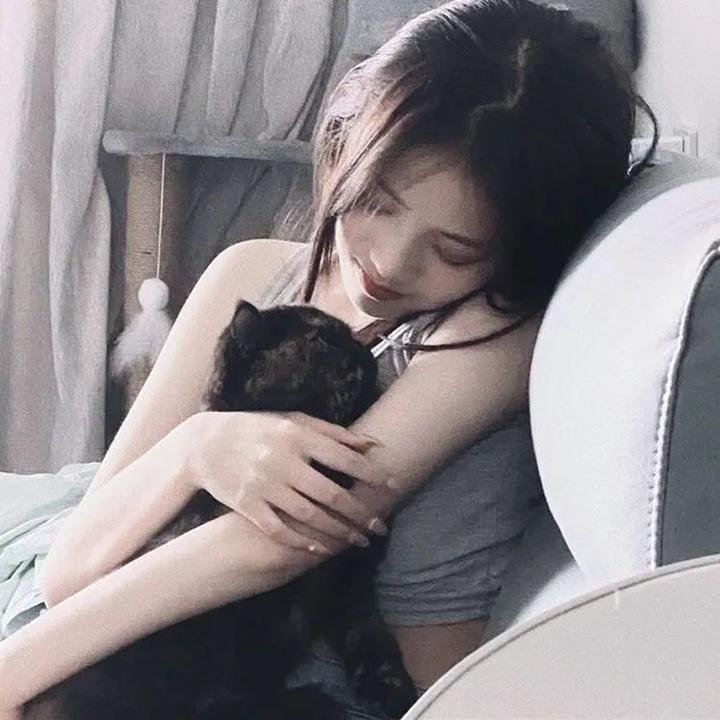 大侦探波洛第十二季